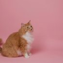 동물에반하다동물병원 이미지