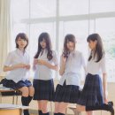 미야와키 사쿠라 카카오 검색결과