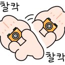 다이소진천덕산점 이미지