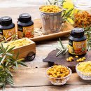 비타민(VITAMIM) 이미지