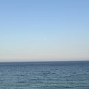 우리들횟집 이미지