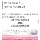 대가야추어탕 이미지