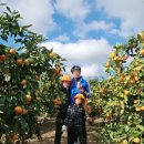 문기 농장 이미지