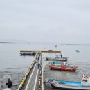 물고기 미포 | [안면도 가족여행 둘째 날] 낚시 초보자에게 추천하는 좌대낚시(안면도 미포좌대)