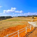 너른공원 이미지