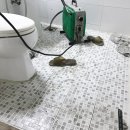 수원-1313 이미지