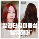레드헤어 | 일산마두동 밤리단길미용실 벨유헤어 레드브라운 염색 레이어드컷 후기