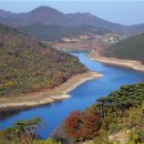 쉬리농장 이미지