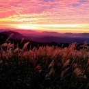 황매산장대 이미지