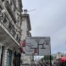 런던동물병원 | 런던 아이폰 스냅 내돈내산 후기, 소호 전통 펍에서 맥주 마무리