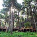 유식물원 이미지