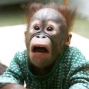 우째이런일이 이미지