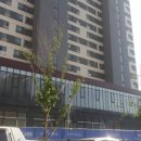 대림세탁소 이미지