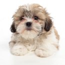 동행동물병원 이미지