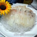 연안애견 이미지