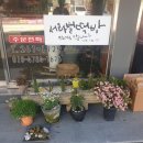 서라벌떡집 - 경주시 동성로 52 | 서라벌떡집