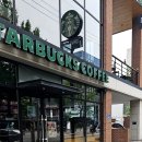 대구은행네거리 | 스타벅스 대구수성네거리DT점 더블머스캣 블랜디드 내돈내산 이용후기 (프리퀀시 시작)