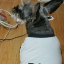 친구네PC방 이미지