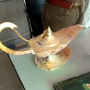 요술램프 이미지