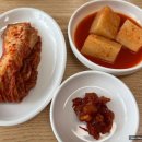 국일설렁탕 | 전주 서곡 맛집 임금님 설렁탕 내돈내산 후기 / 전주 세무서 근처 식당 추천