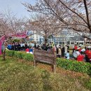 낙동강 벚꽃축제 푸드존 이미지