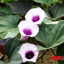 수석3통 마을회관 뉴시스