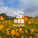 경희국어교습소 네이버블로그