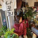 동해 묵호 논골담길 카페: LP가 흐르는 숨겨진 보물같은, 다방 나포리(+말똥도나스 찐솔직리뷰)