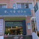 꽃;식물연규소