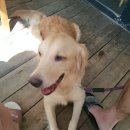 산골짝 민박 이미지