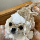 가드기멍 이미지