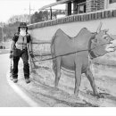 후가막마을회관 이미지