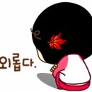 술시 이미지