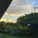 골오기네뜰 이미지