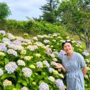 안덕소방서(안덕119센터) 2 이미지