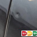 덴트LEE