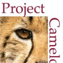 Project Camelot / Bob Dean 인터뷰 : 다가오는 니비루 4 이미지