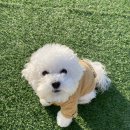 무무유치원 이미지