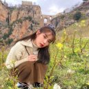 론다 | 세비야여행 론다당일치기, 팔로우미투어 론다 야경투어 후기