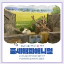 [천안실내동물원] 천안 실내동물원 '해피애니멀'아이랑 가볼만한 곳 :))
