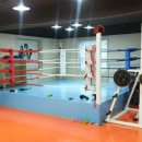 대치생활복싱 이미지