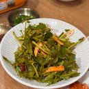 제주도청 | [제주시/연동]제주연동맛집 '애월미나리' 솔직 후기/ 제주도청 근처 미나리곰탕 맛집 추천