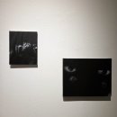 서울대학교미술관 | [서울대학교 미술관] 오류를 거니는 산책자_20260319