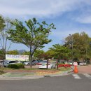 상복천 | 창원 무료 펫빌리지 애견 놀이터 후기