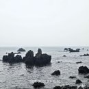 토브랜드 | [국내여행]제주 여행 3일차, 제주 올레길 8코스 완주!