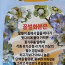 동그리농장 이미지