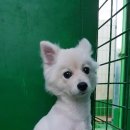 병점서로 피플워치