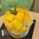 대전 부여 공주 2박3일 여행 내돈내산 맛집 카페 관광 지역축제 소품샵 코스