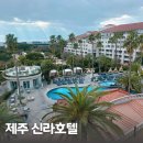 호텔오션 | 제주 신라 호텔 디럭스 더블 오션뷰 숙박 후기