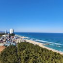 부안도깨비(16회차) | 강릉 뚜벅이여행 필수 시티버스 시간표 및 노선도 이용후기